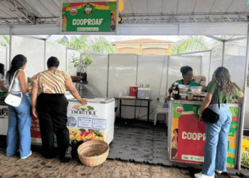 16º Festival do Umbu fortalece a agricultura familiar e movimenta economia de Manoel Vitorino e região