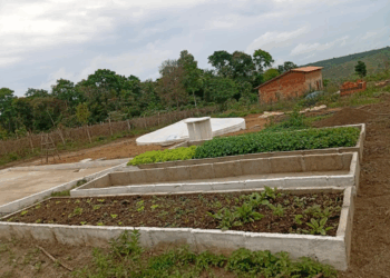 Tecnologias sociais garantem segurança hídrica e fortalecem a agricultura familiar no semiárido baiano