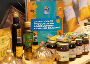 CAR debate estratégias para fortalecer a agricultura familiar na Bahia
