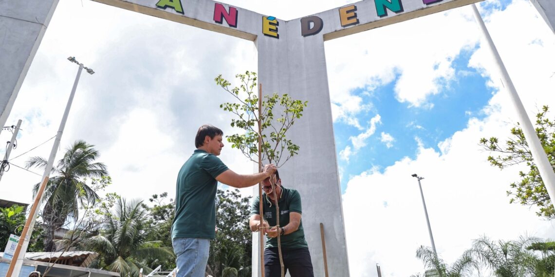 Plantio com 125 mudas começa no Mané Dendê