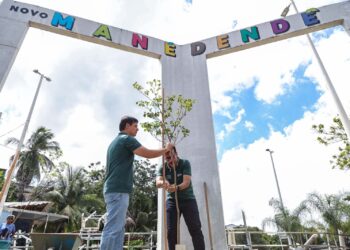 Plantio com 125 mudas começa no Mané Dendê