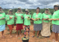 Produção coletiva fortalece mulheres no semiárido baiano