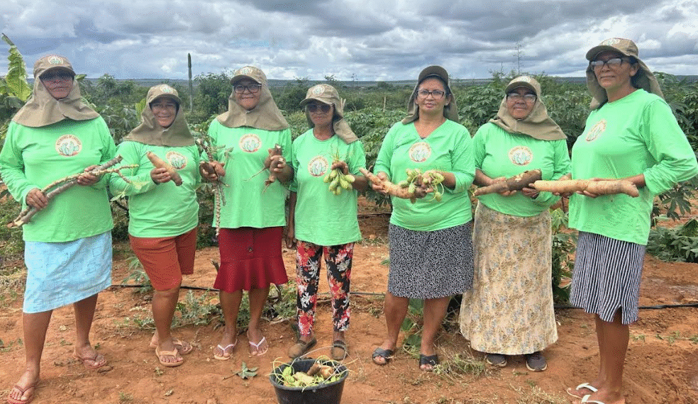 Produção coletiva fortalece mulheres no semiárido baiano