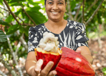 Câmara aprova regras para chocolate e amplia demanda por cacau