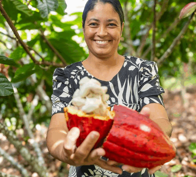 Câmara aprova regras para chocolate e amplia demanda por cacau