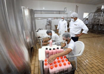 Investimentos do Governo do Estado fortalecem agricultura familiar em Itanhém