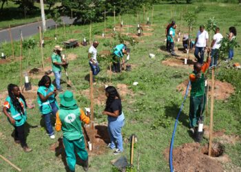 Prefeitura promove mais uma operação de plantio e chega a 110 mudas na região de São Cristóvão