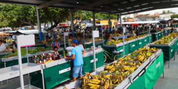 Investimentos do Estado fortalecem infraestrutura econômica em Buritirama, Chorrochó e Mutuípe
