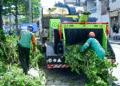 Salvador conta com primeira máquina trituradora de podas para reciclagem orgânica