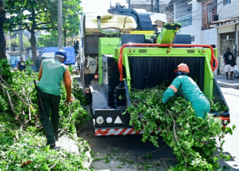Salvador conta com primeira máquina trituradora de podas para reciclagem orgânica