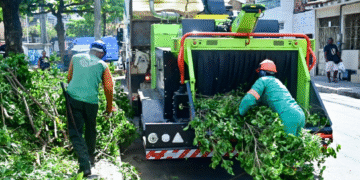 Salvador conta com primeira máquina trituradora de podas para reciclagem orgânica