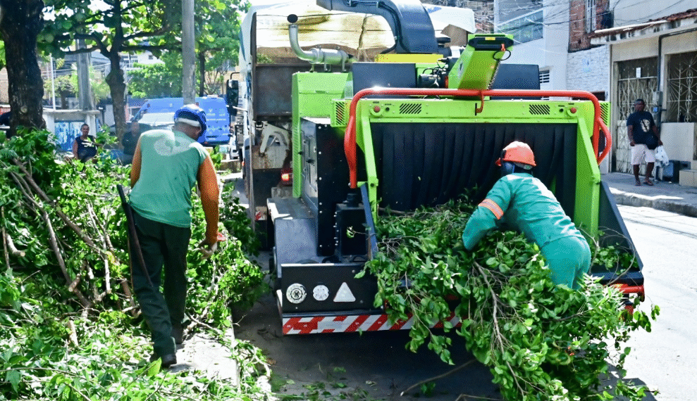 Salvador conta com primeira máquina trituradora de podas para reciclagem orgânica