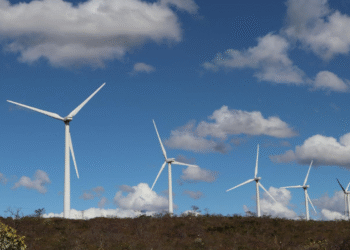 Bahia consolida liderança nacional em energias renováveis com avanços em eólica e solar