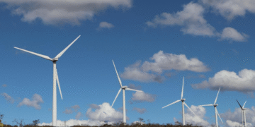 Bahia consolida liderança nacional em energias renováveis com avanços em eólica e solar