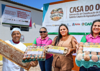 Morpará ganha unidade de mel e classificadora de ovos para fortalecer agricultura familiar