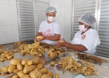 Agroindústria familiar impulsiona renda de mulheres em assentamento de Ourolândia