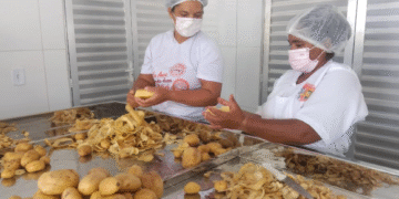 Agroindústria familiar impulsiona renda de mulheres em assentamento de Ourolândia