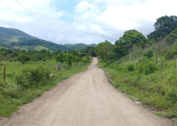 Governo da Bahia pavimentará mais de 125 km de rodovias estaduais