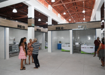 Novo Mercado Municipal impulsiona economia e fortalece agricultura familiar em Antônio Gonçalves