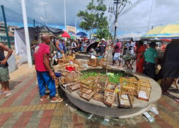 Coppa resgata 21 aves silvestres na Feira do Rolo, na Baixa do Fiscal