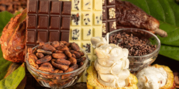 Agricultura familiar da Bahia celebra nova lei que amplia a transparência no chocolate e fortalece a cacauicultura