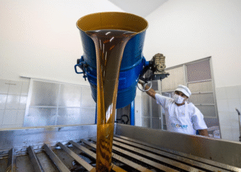 Qualificação técnica fortalece agroindústrias familiares na Bahia