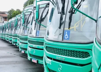 Salvador terá novas linhas de ônibus neste sábado; confira