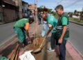 Prefeitura oferece programa Plante no Passeio para ampliar arborização de Salvador