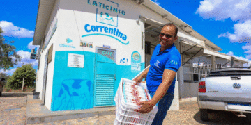 Governo da Bahia fortalece cadeia do leite e transforma a vida de agricultores familiares em Correntina