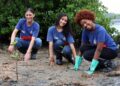 Sustentabilidade nos trilhos: ação de reflorestamento marca compromisso socioambiental do VLT