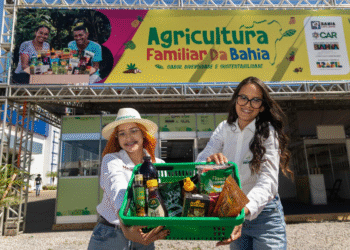 Agricultura familiar ganha espaço de destaque na Bahia Farm Show com apoio do Governo da Bahia