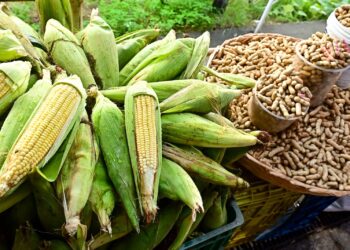 Copa do Mundo e festejos juninos impulsionam vendas nos mercados municipais de Salvador