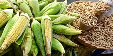 Copa do Mundo e festejos juninos impulsionam vendas nos mercados municipais de Salvador