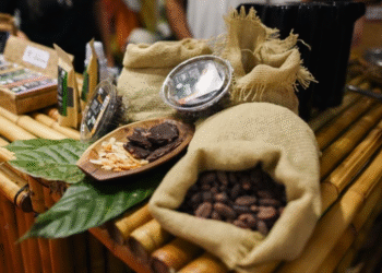 Chocolat Bahia volta a Ilhéus com marca histórica de 17 edições e formato atualizado
