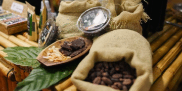Chocolat Bahia volta a Ilhéus com marca histórica de 17 edições e formato atualizado