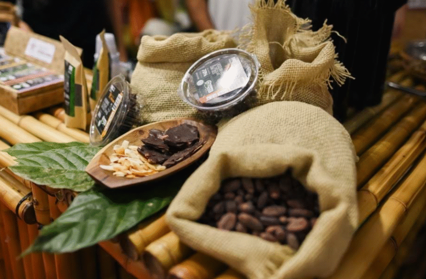 Chocolat Bahia volta a Ilhéus com marca histórica de 17 edições e formato atualizado