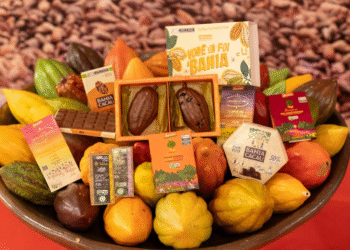 Chocolat Bahia 2026 terá programação voltada ao desenvolvimento rural e à agricultura familiar