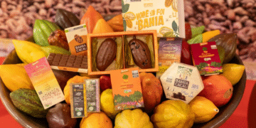 Chocolat Bahia 2026 terá programação voltada ao desenvolvimento rural e à agricultura familiar