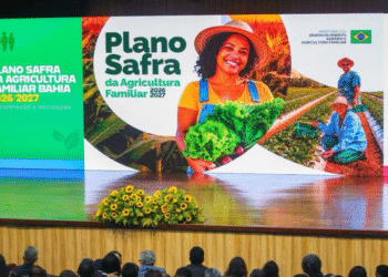 Bahia lança Plano Safra da Agricultura Familiar 2026/2027 em Feira de Santana