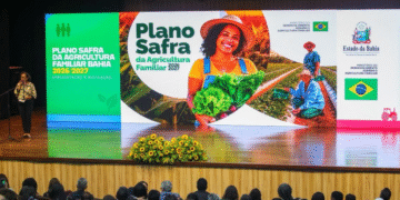 Bahia lança Plano Safra da Agricultura Familiar 2026/2027 em Feira de Santana