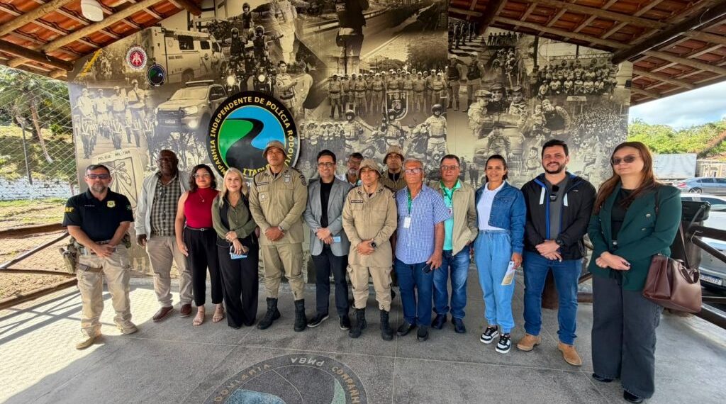 Força-tarefa define operação para combater animais soltos nas rodovias e avenidas de Itabuna