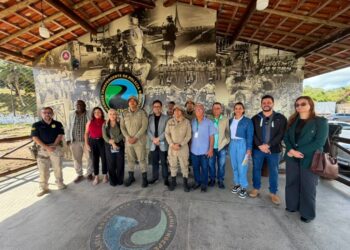 Força-tarefa define operação para combater animais soltos nas rodovias e avenidas de Itabuna