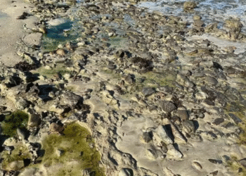 Justiça bloqueia milhões em bens de empresas por dano ambiental no Subúrbio