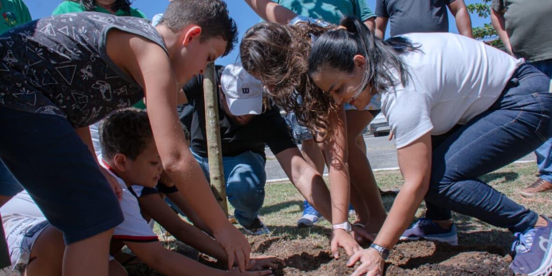 Arboriza Lauro leva nova estrutura à Praça Dodô e Osmar, em Ipitanga