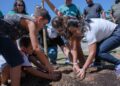 Arboriza Lauro leva nova estrutura à Praça Dodô e Osmar, em Ipitanga