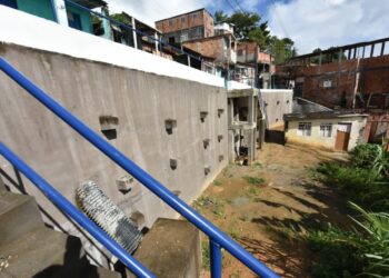 Salvador terá 640 áreas protegidas com ações preventivas