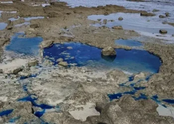 PF consegue bloqueio de R$ 387,6 milhões para garantir recuperação ambiental em São Tomé de Paripe