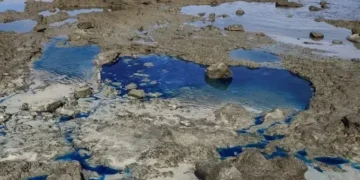 PF consegue bloqueio de R$ 387,6 milhões para garantir recuperação ambiental em São Tomé de Paripe