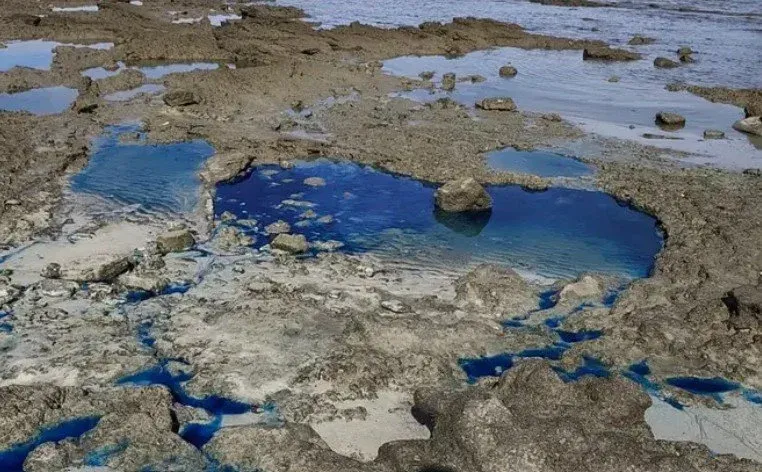 PF consegue bloqueio de R$ 387,6 milhões para garantir recuperação ambiental em São Tomé de Paripe