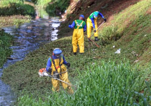 2913fda5-3033-477f-af28-89740f749730